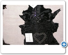 collection 4 strass on broadtail